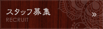 スタッフ募集